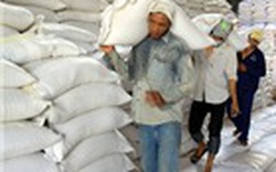 Xuất khẩu gạo  có thể đạt 7,7 triệu tấn