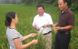 Mỗi nông dân là  một “nhà khoa học”