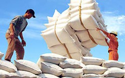 Việt Nam bị Ấn Độ &#34;soán ngôi&#34; xuất khẩu gạo