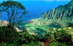 Đảo Hawaii đang dần biến mất