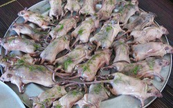 Vô tư ăn thịt chuột bất chấp nguy cơ tử vong từ vi-rút Hanta
