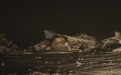 Máy bay quân đội Kazakhstan bị rơi, 27 người chết