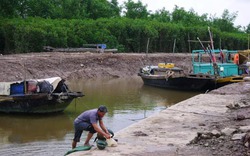 Nuôi tôm trong rừng ngập mặn