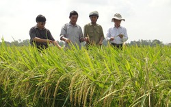 “Bà đỡ” của nhà nông