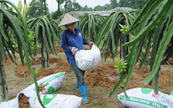 Tỉnh táo giữa  “mê hồn trận” phân bón