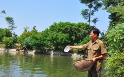 Danh hiệu “Nông dân VN xuất sắc”: Nguồn khích lệ cho hàng triệu nông dân