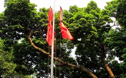 Các trường học đồng loạt treo cờ rủ ngày quốc tang Đại tướng