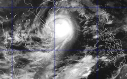 Bão số 11 tấn công dữ dội Hoàng Sa, cách bờ biển Quảng Trị-Quảng Ngãi 280km
