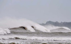 Quảng Ngãi: Gió mạnh, sóng to, dân chưa dám về nhà