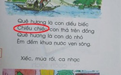 Lỗi chính tả khó hiểu trong sách Tiếng Việt lớp 1