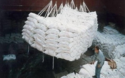 Đề nghị cho xuất khẩu đường tinh luyện
