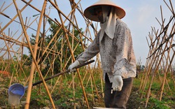 Chọn những tiêu chí ít tiền làm trước