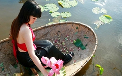 Phụ nữ Việt đẹp bên sen
