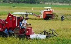 Cơ giới hóa thu hoạch ở Long An: Đạt trên 98%