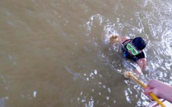 Các thợ lặn ngụp trong nước, tìm thi thể nạn nhân bị bác sĩ thả sông