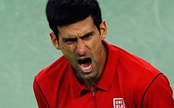 Chính thức có hãng hàng không mang tên... tay vợt Djokovic