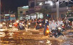 TP.Hồ Chí Minh: Triều cường cao, nguy cơ ngập nặng 
