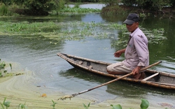 Vụ nhà máy xả thải độc : Dân lấp mương nước thải 