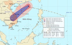 Bão số 12 đang suy yếu và di chuyển thất thường