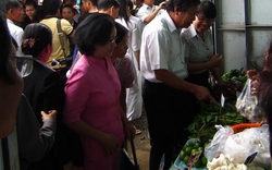 Đà Nẵng: Hỗ trợ tiêu thụ nông sản cho nông dân