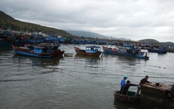 Hàng loạt tàu thuyền gặp nạn trên vùng biển Hoàng Sa, Trường Sa