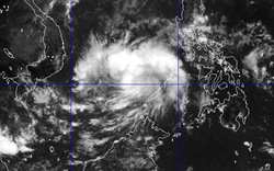 Áp thấp nhiệt đới trên biển Đông khả năng mạnh thành bão