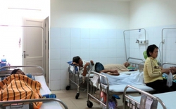 Đà Nẵng: Bệnh sốt xuất huyết diễn biến phức tạp