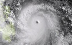 Đêm nay, siêu bão mạnh nhất trong vòng 10 năm tấn công biển Đông