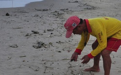 Dầu vón cục đen ngòm trải dài trên bãi biển Đà Nẵng