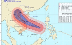 Vùng biển từ Quảng Ngãi đến Nghệ An sóng biển có thể cao đến 10 mét