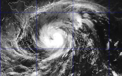 Gió giật mạnh cấp 16-17, bão Hải Yến cách đảo Trường Sa 240km