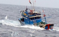 4 tàu cá cùng 37 lao động đang gặp nguy trên biển