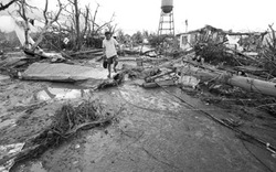 Philippines: Gượng dậy sau cơn   bão hủy diệt