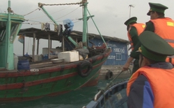 Quảng Ninh: Cưỡng chế 10 tàu cá ngoan cố không theo hiệu lệnh tránh trú