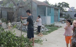 Nghệ An: Chặt cây chống bão, 1 người thiệt mạng