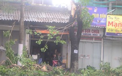 Quảng Ninh: 3 người mất tích, 15 tàu chìm, hơn 600 nhà sập, tốc mái