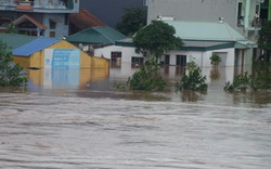 Tan hoang ở tâm bão Quảng Ninh