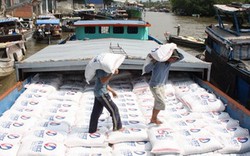 Xuất khẩu gạo sang Ghana gặp khó