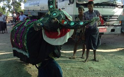 Phân bón “ Đầu Trâu” ra mắt ấn tượng tại Myanmar  