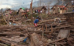 Philippines: Nông nghiệp điêu tàn sau bão Haiyan