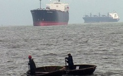Vụ “cảng Chân Mây tê liệt” vì... lưới: Sớm hỗ trợ ngư dân chuyển đổi nghề