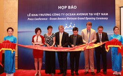 Ra mắt công ty Ocean Avenue tại Việt Nam