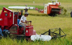 Hỗ trợ lãi suất vay vốn với 7 nhóm thiết bị nhằm giảm tổn thất trong nông nghiệp