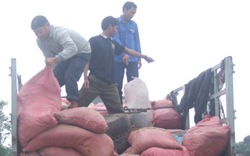 Phú Yên: Bắt xe tải chở phân bò &#34;độn&#34; gỗ hương