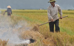 Tọa đàm phát triển tam nông:  Sớm xây dựng mô hình  nông nghiệp hiện đại