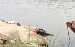 Phát hiện 1 người chết trôi trên sông Hồng