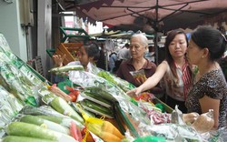Rau VietGAP “tiến quân” vào chợ TP.HCM