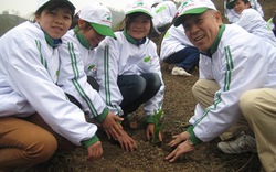 Kỷ niệm 54 năm ngày lâm nghiệp Việt Nam &#40;28.11&#41;: Điểm sáng về giữ,  bảo vệ rừng 