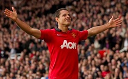 M.U dùng Chicharito “làm mồi” câu siêu tiền vệ