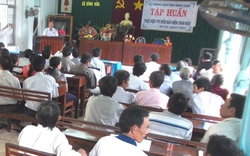 Bình Định: Tuyên truyền tham gia bảo hiểm chăn nuôi